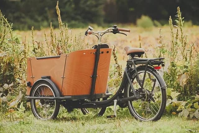 Comment intégrer le développement durable dans votre distribution sportive