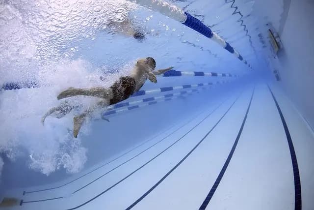 Les Meilleures Pratiques pour Maximiser Votre Chaîne de Distribution Sportive