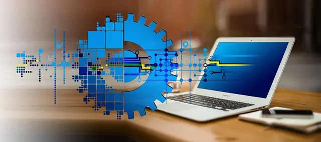 Comment la digitalisation transforme la distribution sportive
