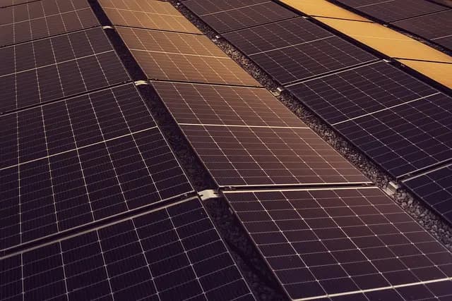 Comment intégrer des solutions durables dans votre distribution sportive