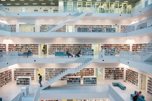 Les meilleures pratiques pour optimiser votre réseau de distribution sportive