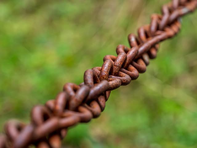 Les meilleures pratiques pour optimiser votre chaîne de distribution sportive